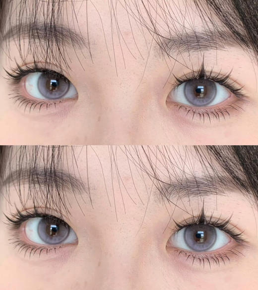 半年抛丨蔷薇紫·Wecute丨14.2mm（半年抛/2片装） 商品图0