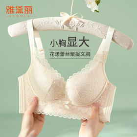 雅黛丽内衣小胸聚拢显大2024年新款文胸收副乳防下垂调整型胸罩