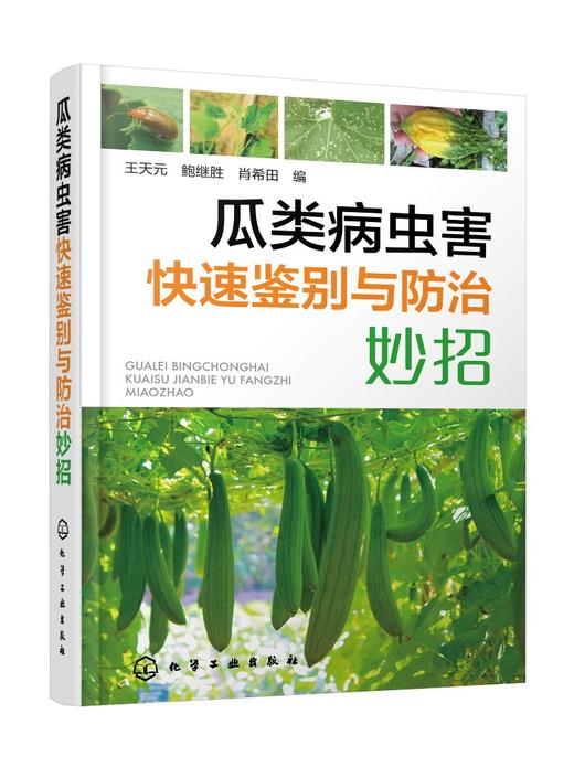 瓜类病虫害快速鉴别与防治妙招 商品图0