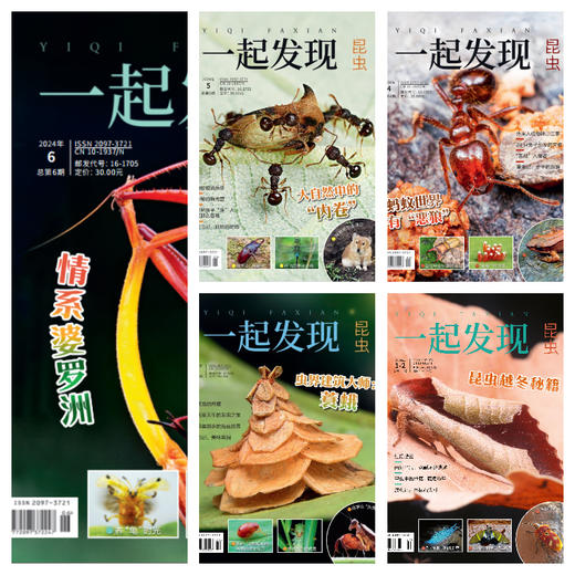 2024年《一起发现》过刊10本一次发出 商品图9