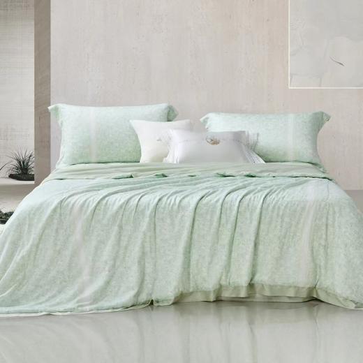 【Luolai罗莱厅】B7罗莱尚.辽原栎丝水洗蚕丝夏被 商品图2