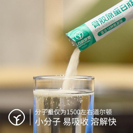 【检测SGS34顶激素74顶抗生素0检出纯胶原 0添加0激素】无负担 原料采用无污染的牛羊骨制作提取小分子活性肽 高吸收率 胶原蛋白肽粉 商品图2