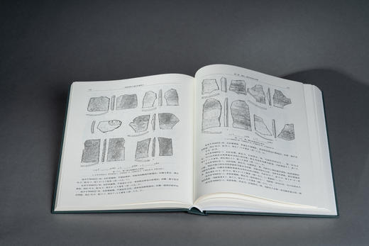 阜新高林台城址发掘报告 商品图2