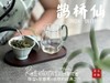 【白茶礼盒装】连续7年春白茶销冠，2024一级白牡丹《鹊桥仙》，等级更高，鲜、爽、清、润，香透了！ 商品缩略图6