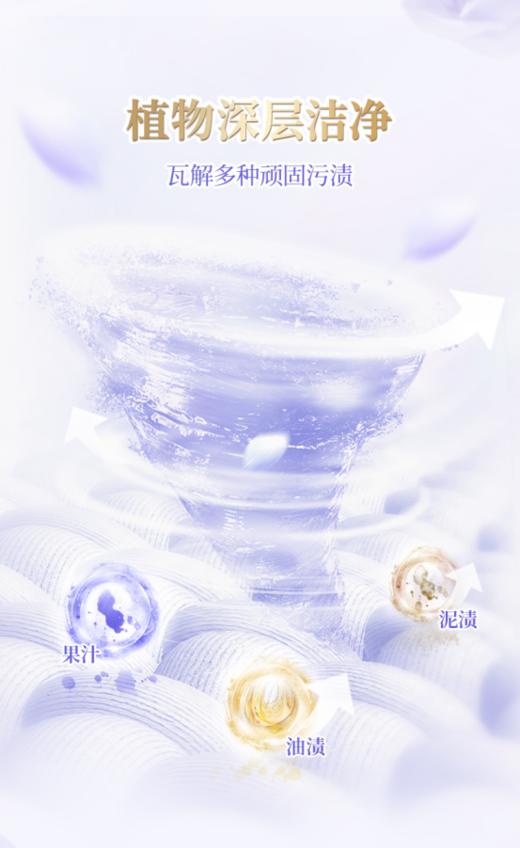 🎉【到手24斤】花漾云感馨香洗衣液4桶+花漾云感馨香洗衣8袋：🥰1. 瑞士进口香氛 活花萃取科技：香氛原料均取自自然，👛 商品图3