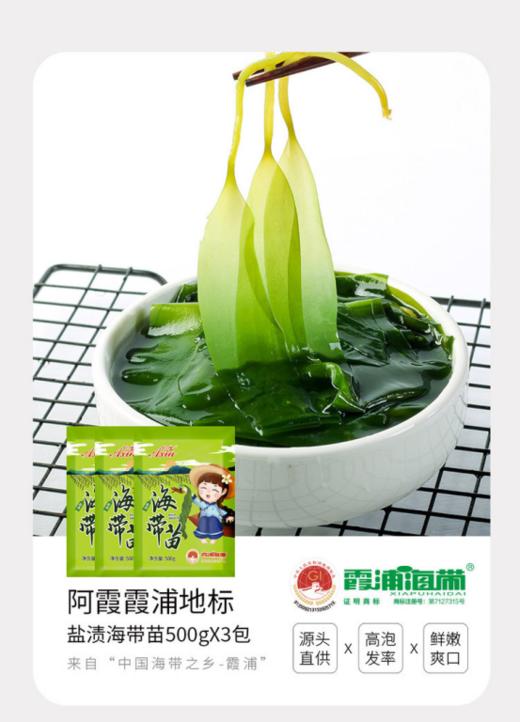 🔥🔥【阿霞霞浦盐渍海带苗S5562】✅清热解毒、补气益血、消暑滋阴🌸 商品图4