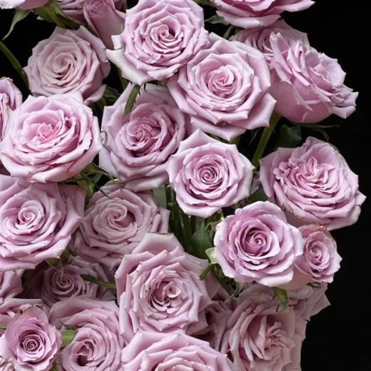 群友专享 | 紫霞仙子玫瑰 5枝 商品图1