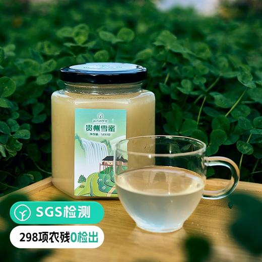 【检测SGS298项农残0检出 远方的梦想定制 贵州雪蜜500g/瓶】蜜蜂采集苕子花蜜配制而成，俗称苕子蜜，只取封盖成熟蜜 商品图0
