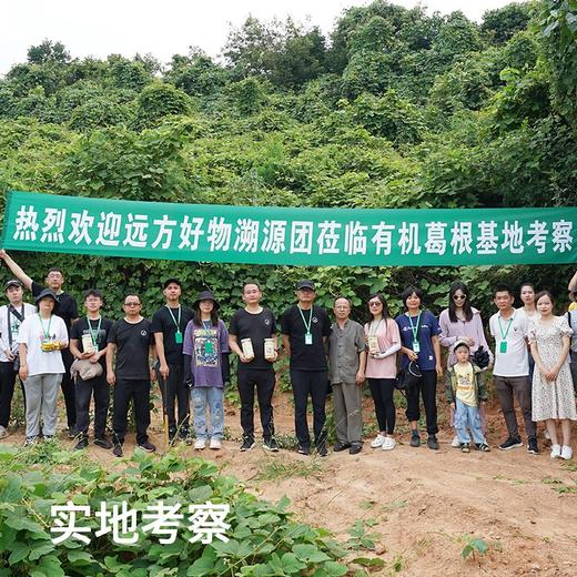 【检测SGS298项农残0检出 有机葛粉 非遗产品】野生葛根采集，营养丰富，富含多种氨基酸 二月风有机葛粉罐装 远方的梦想定制款 商品图3