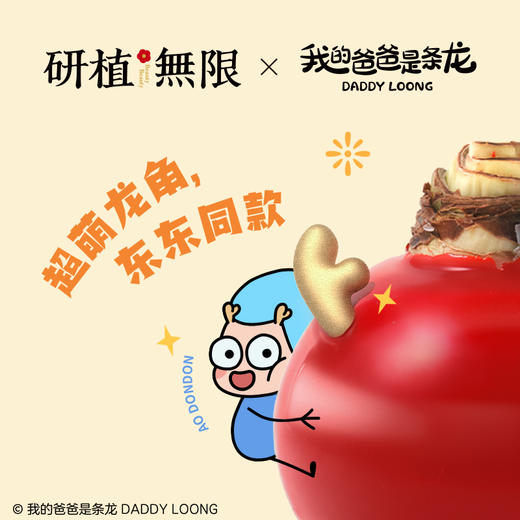 研植无限&我的爸爸是条龙联名款斑点皇后腊封朱顶红腊球礼盒礼物 商品图1