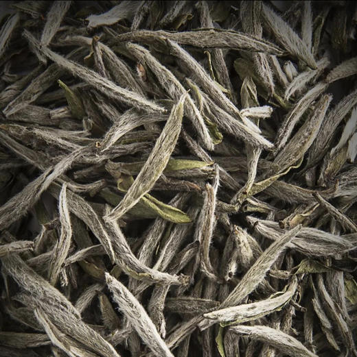 顺茗道｜2019年炭焙白毫银针500g 商品图2