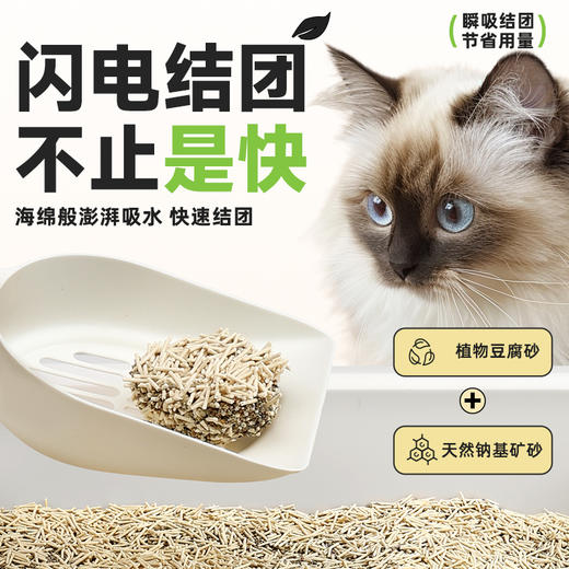 耐威克白茶味豆腐猫砂｜自然茶香｜闪电结块｜不散团 商品图1