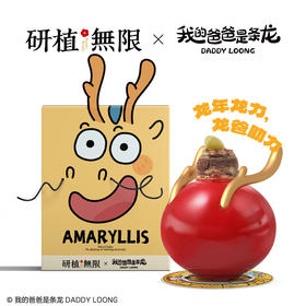 研植无限&我的爸爸是条龙联名款樱桃妮芙腊封朱顶红腊球节日礼盒