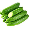 【6.9元/袋】袋荷兰黄瓜（1500355） 商品缩略图0