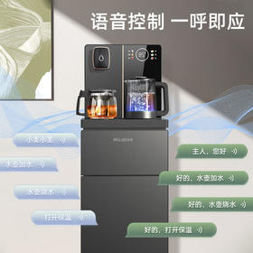 美菱（MeiLing）家用立式饮水机智能语音茶吧机MY-YT981大尺寸 磨砂面板 升级快插 底部上水 防干烧防溢水