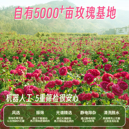 潘祥记官方旗舰店200g玫瑰饼鲜花饼 商品图3