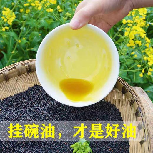 5升原浆菜籽油1瓶农家版 商品图5