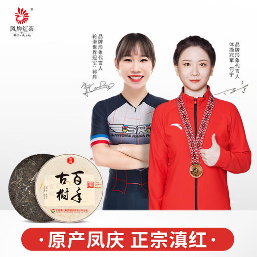 凤牌普洱茶 生茶 云南临沧普洱七子饼茶叶百年古树茶357g茶饼2019年老茶 商品图0