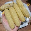西双版纳 拇指玉米 甜糯 26.8/件 500g 糯叽叽的，甜丝丝的 Q弹无渣 商品缩略图4