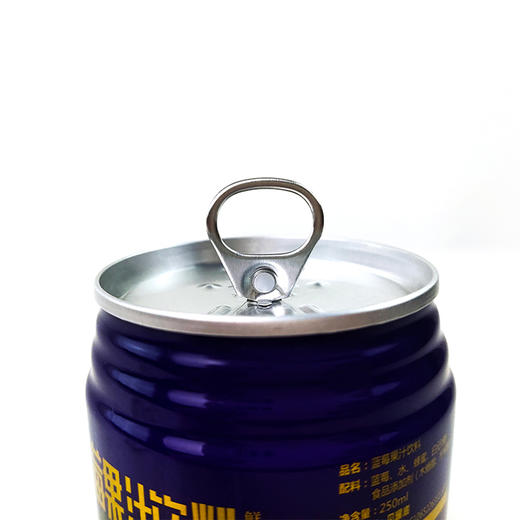 D蓝瑞蓝莓果汁250ml(原汁含量68%） 商品图8