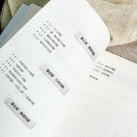 初等数学名题鉴赏 中学生数学文化丛书 数学科普书籍 丛书主编谢明初 初中数学 正版 华东师范大学出版社 商品图7