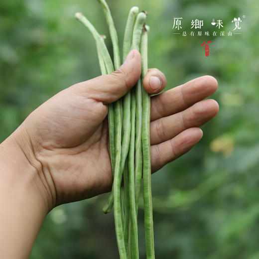生态泡菜|泡豇豆/酸豇豆/酸豆角（成都仓库-顺丰快递）| 泡豇豆200g/袋，泡姜&辣椒250g/袋，来自原乡农场，【原乡自产自销】 商品图6