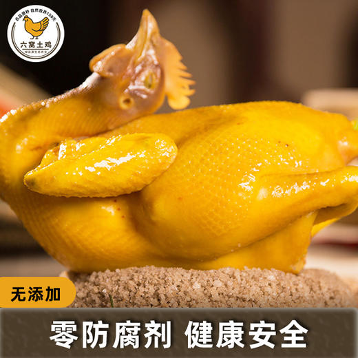 六窝土鸡盐焗鸡（散养150天） 商品图1