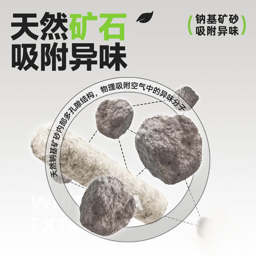 耐威克白茶味豆腐猫砂｜自然茶香｜闪电结块｜不散团 商品图3