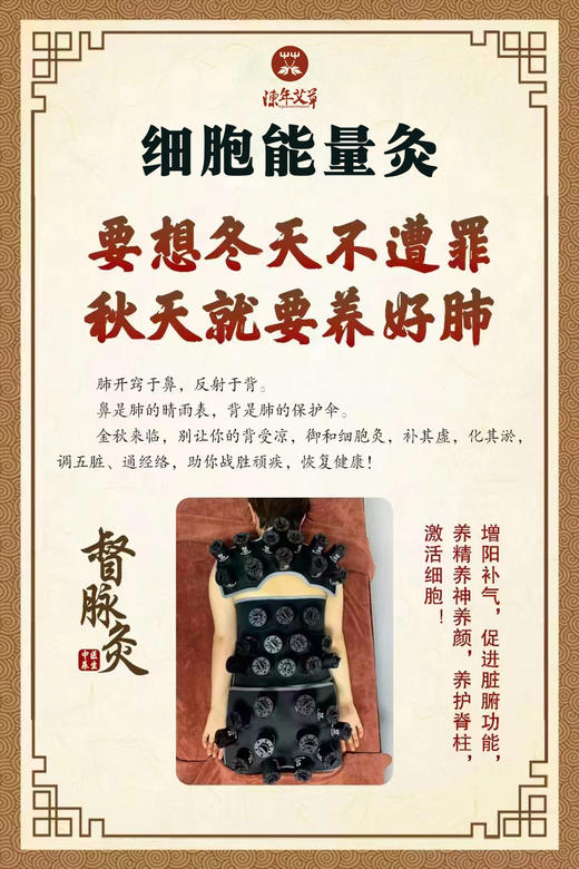 【细胞能量灸】细胞灸全套艾灸罐磁吸艾柱能量灸美容院艾灸馆家用 商品图2