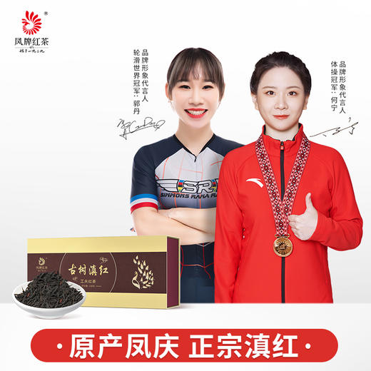 凤牌红茶 云南古树滇红工夫红茶礼盒100g 商品图0