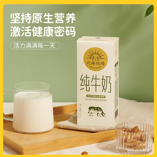 北海牧场全脂纯牛奶200ml*10盒 3.2g原生乳蛋白 商品图3