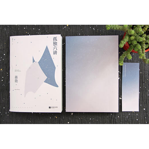 孤独六讲 蒋勋代表作，“孤独三书”系列百万册特别纪念版 平装 商品图5