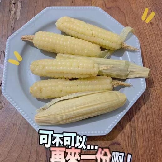 西双版纳 拇指玉米 甜糯 26.8/件 500g 糯叽叽的，甜丝丝的 Q弹无渣 商品图1