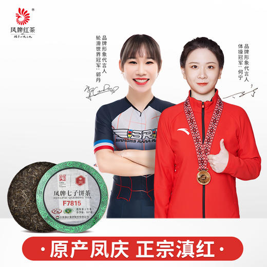 凤牌茶叶云南普洱茶叶生茶饼七子饼茶F7815普洱茶357g 商品图0