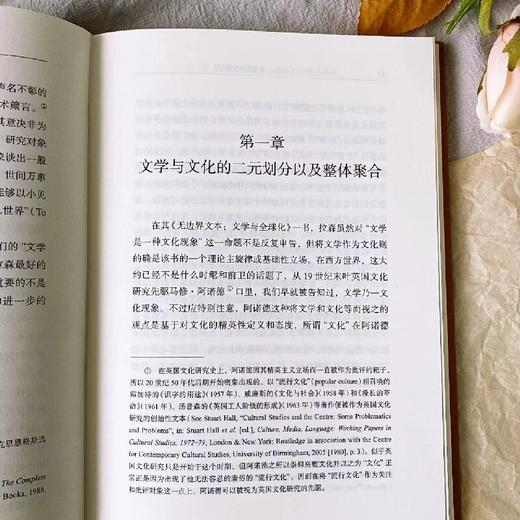文学文化学：文学研究的终结（外一种） 商品图4