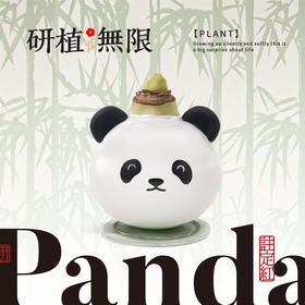 研植无限毕加索腊封朱顶红蜡球熊猫礼盒无水土懒人植物