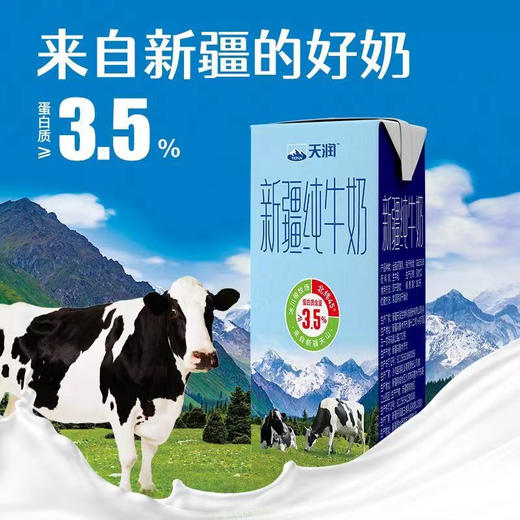 天润 新疆纯牛奶3.5g蛋白质 180g*10 商品图3