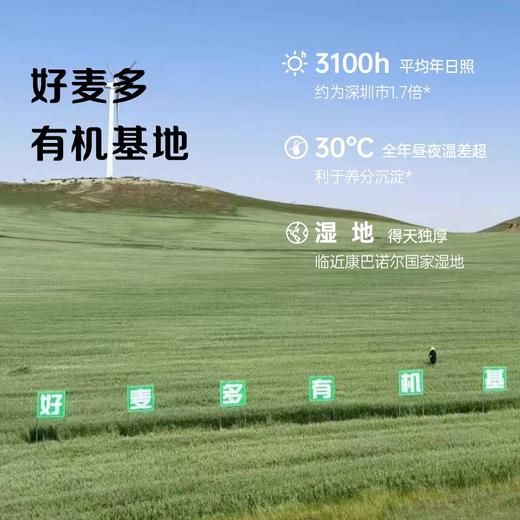 【有机燕麦片 检测SGS308项农残0检出】选用当季新粮 颗粒饱满 1袋1码全程有机可溯源即食谷物300g/袋 商品图2