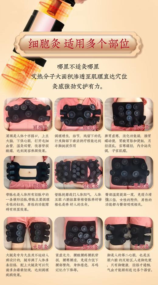 【细胞能量灸】细胞灸全套艾灸罐磁吸艾柱能量灸美容院艾灸馆家用 商品图4