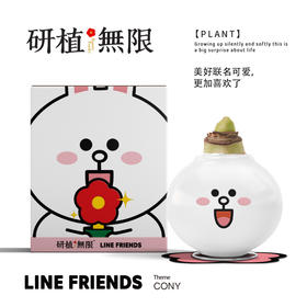 研植无限&LINEFRIENDS联名款可妮兔腊封朱顶红蜡球礼盒生日伴手礼