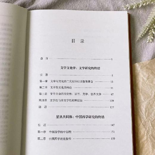 文学文化学：文学研究的终结（外一种） 商品图3