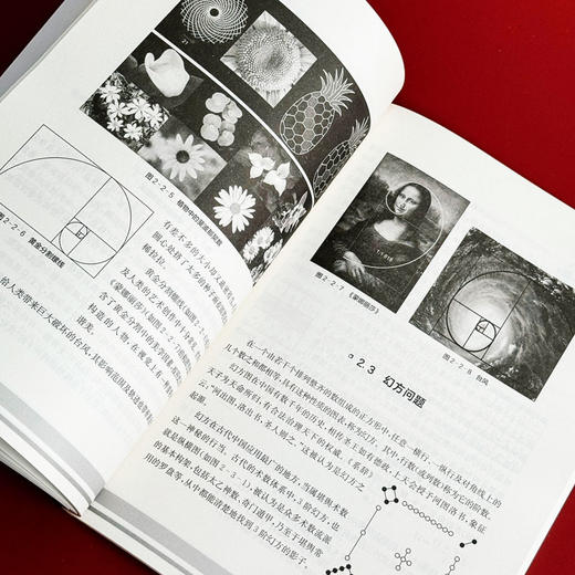 初等数学名题鉴赏 中学生数学文化丛书 数学科普书籍 丛书主编谢明初 初中数学 正版 华东师范大学出版社 商品图12