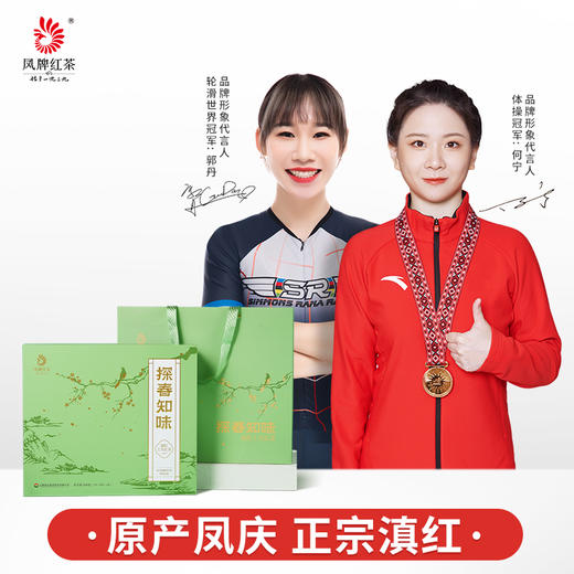 【新品上市】凤牌滇红探春知味200g独立袋装40包 商品图0