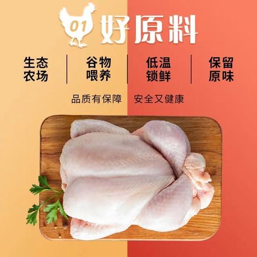 【顺丰冷链！农家三黄鸡】鸡肉质嫩滑，皮脆骨软，脂肪丰满和味道鲜美，汤煲汤料理美味。新鲜宰杀顺丰速达Y 商品图2