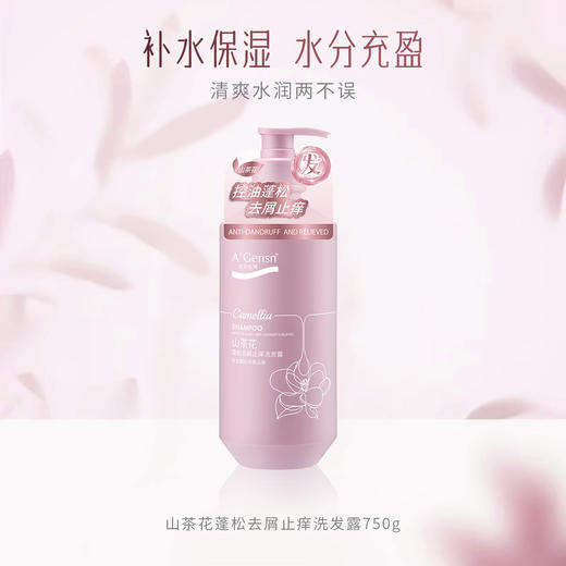 安安金纯山茶花蓬松去屑止痒洗发露750g 商品图3
