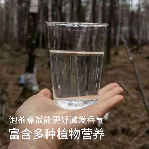 【白桦树小分子水】零添加天然森林植物饮 商品图5
