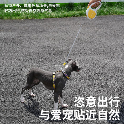 zeze果仁牵引绳-B （包邮） 商品图4