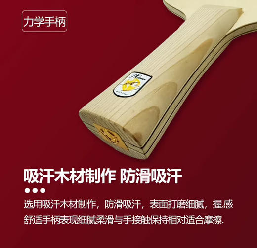 金满贯黄晨金满贯乒乓球拍底板桧木面材碳素进阶横直拍乒乓球拍 商品图1