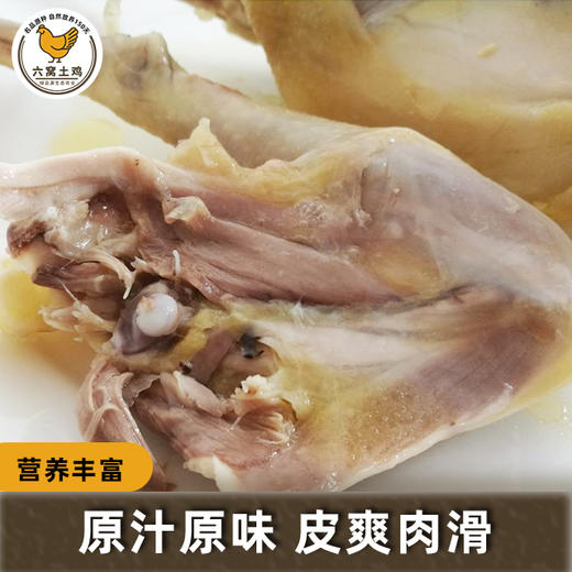 六窝土鸡盐焗鸡（散养150天） 商品图2