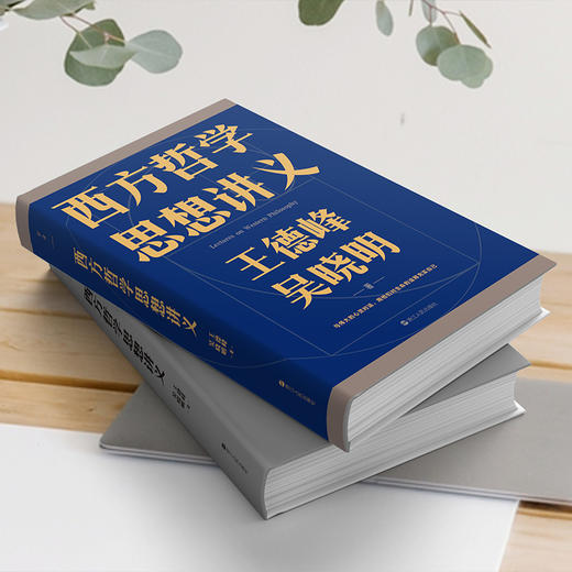 【磨铁】西方哲学思想讲义 王德峰   吴晓明著 商品图3